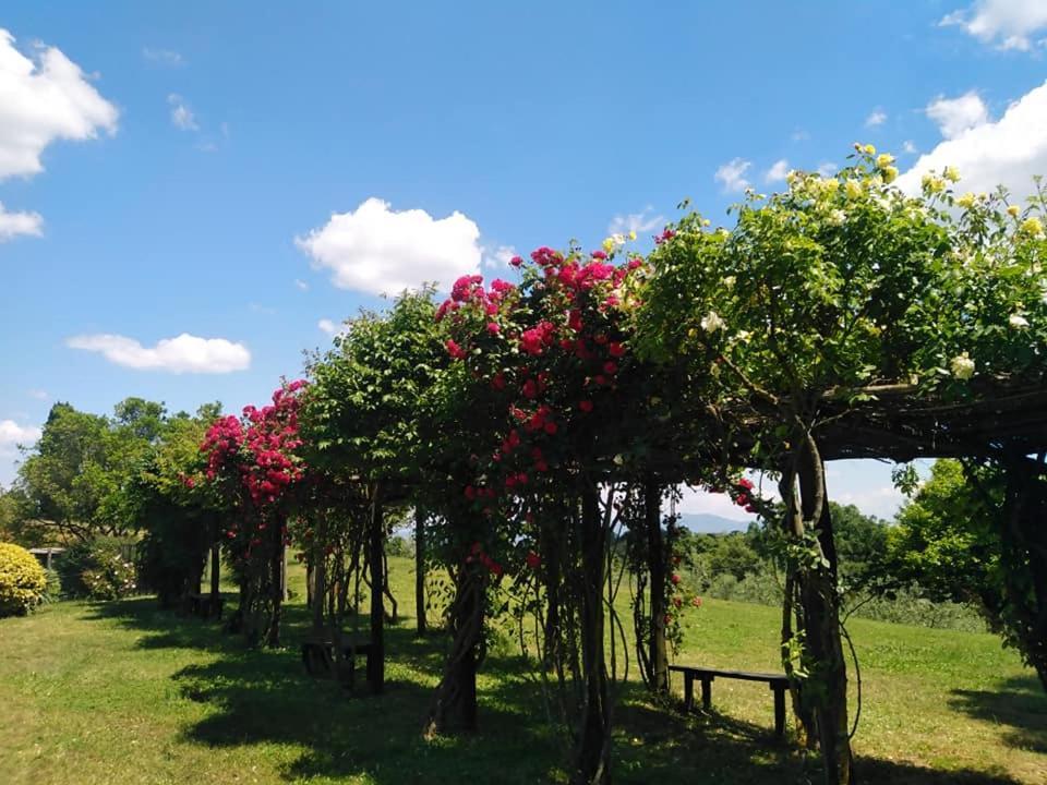 Locanda Rosati Orvieto Ngoại thất bức ảnh